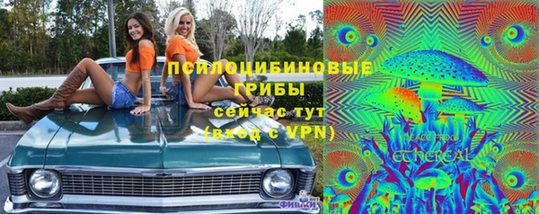 дурь Алзамай