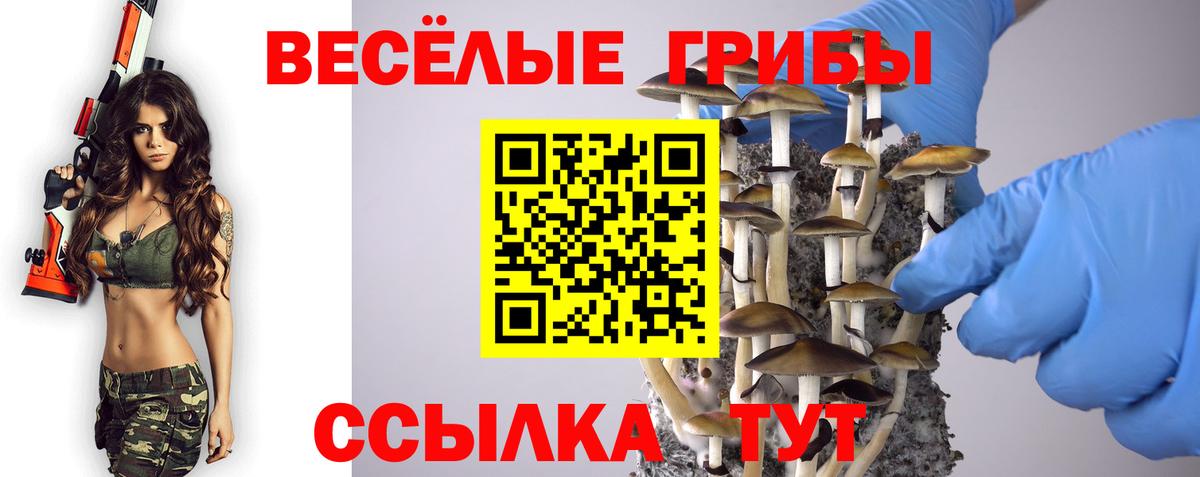 Псилоцибиновые грибы MAGIC MUSHROOMS  наркота  Тверь  Вход с VPN  Галлюциногенные грибы Psilocybe 